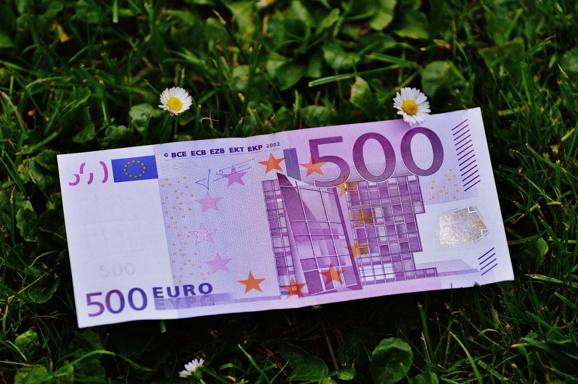 Ein 500-Euro-Schein auf grünem Gras mit Gänseblümchen.